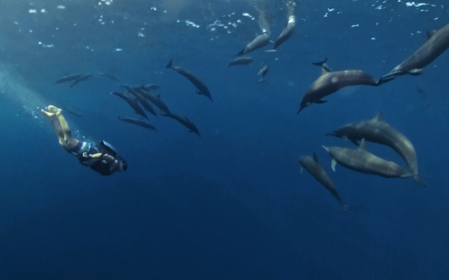 CudaJet Underwater Jetpack flying with dolphins, superyacht toy