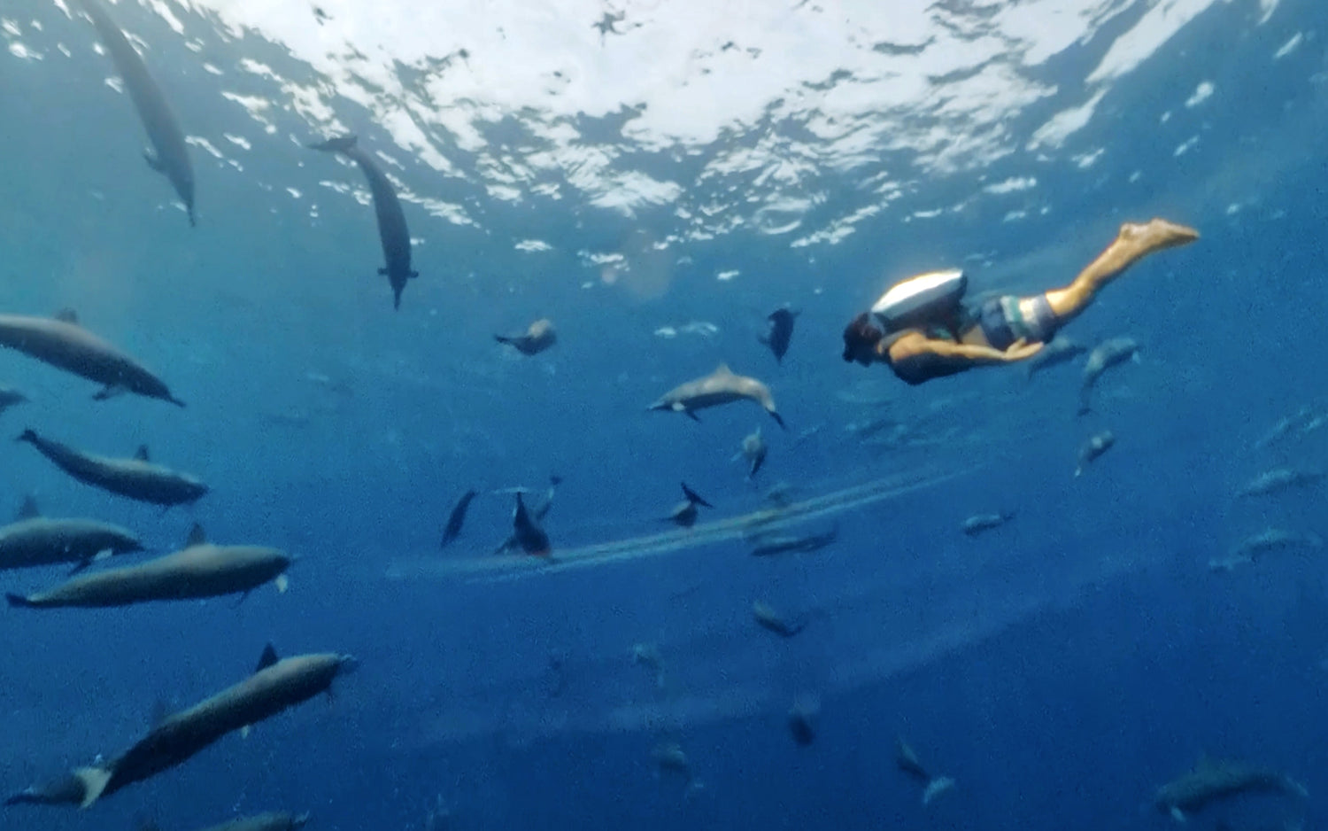 CudaJet Underwater Jetpack flying with dolphins, superyacht toy