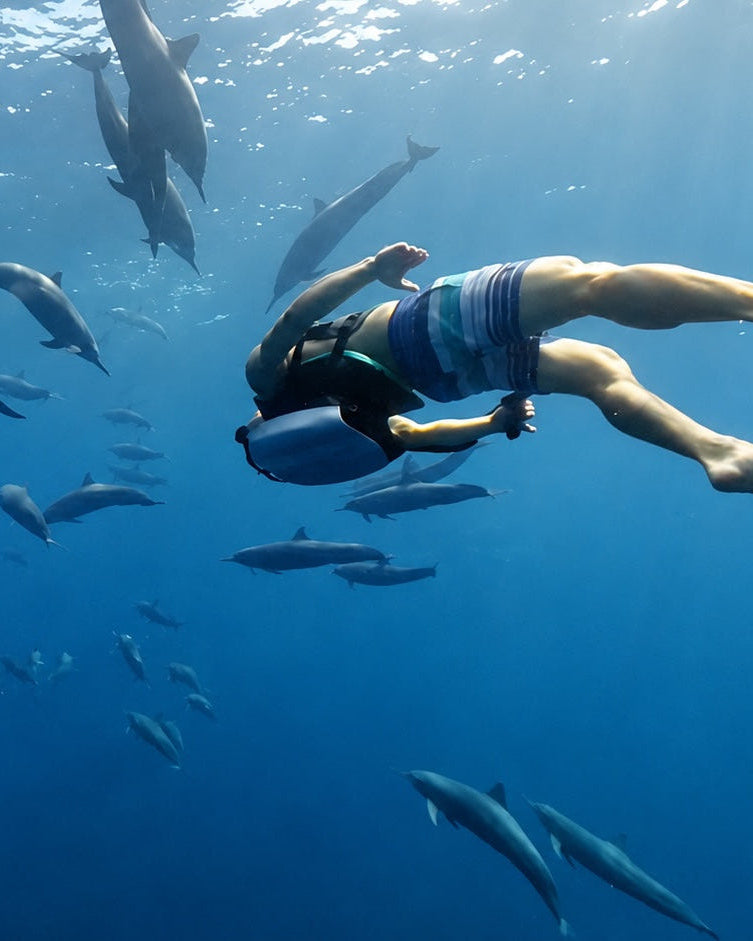 Underwater scene of a person jetpacking among a school of dolphins in deep blue ocean water, wearing blue striped swim trunks.